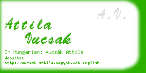 attila vucsak business card